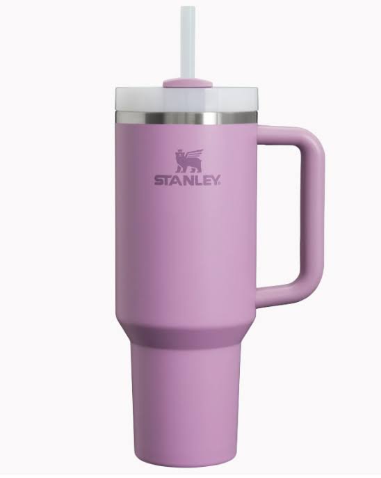 Wizard Themed Stanley